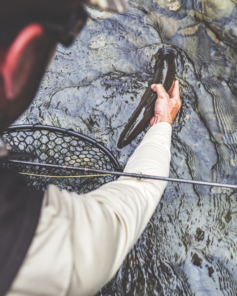 Trout Fishing Guide with dolly varden