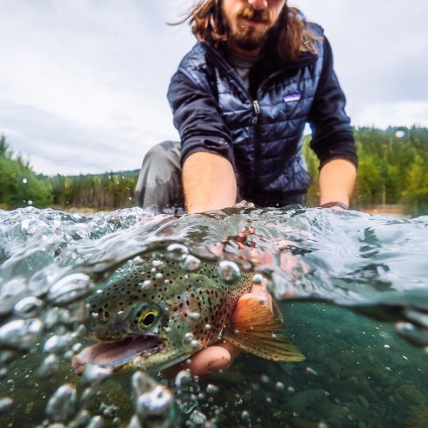 fishing guide wading in a river fishing for rainbow trout