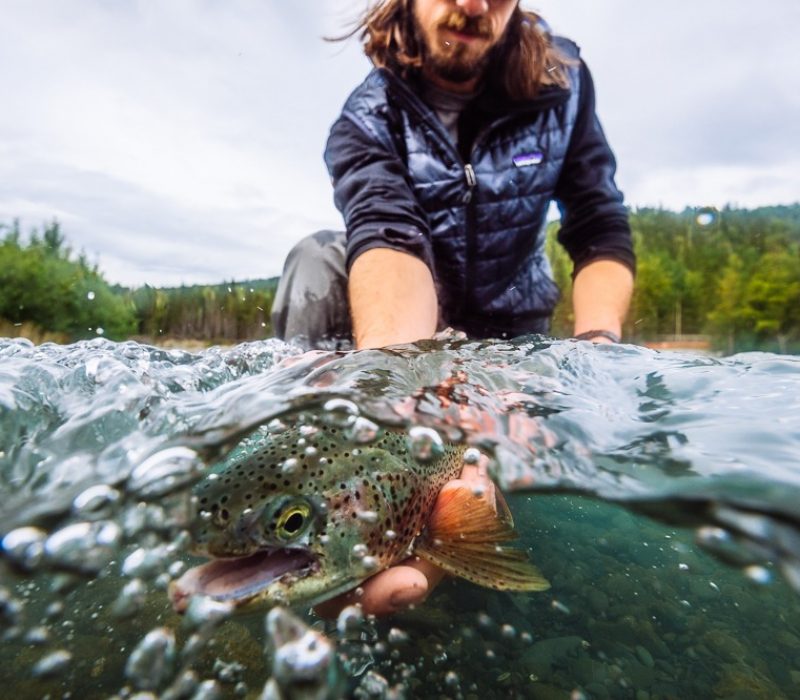 fishing guide wading in a river fishing for rainbow trout