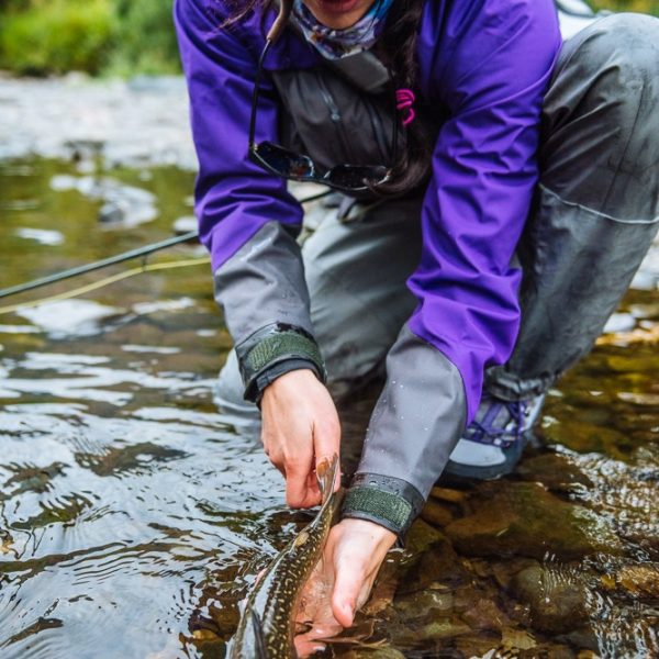Websites For Fishing Guides | Marketing for fishing guides
