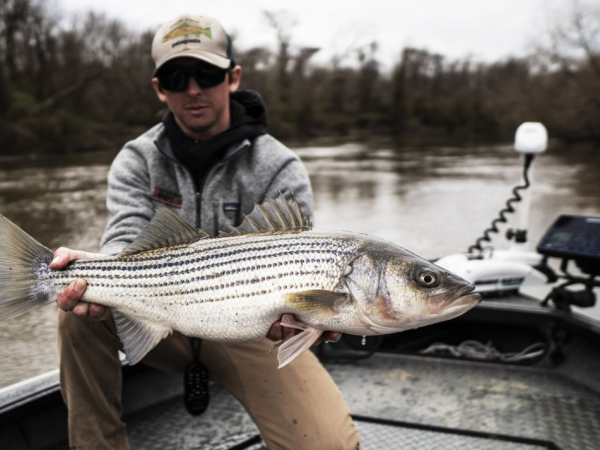 5 Critical Google Ads Mistakes Fishing Guides Must Avoid: The Ultimate Guide to Boosting Your Charter Business (2025 Edition)